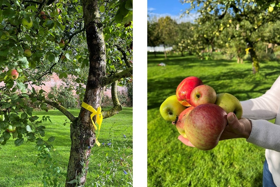 Wie das Ernteprojekt nach Osterholz-Scharmbeck kam und warum es blieb Wie das Ernteprojekt nach Osterholz-Scharmbeck kam und warum es blieb
