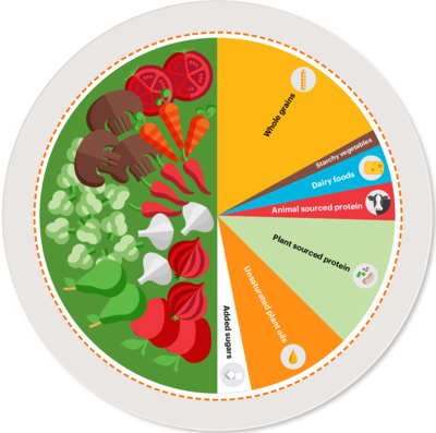 Planetary Health Diet Plate - Summary Report of the EAT-Lancet Commission