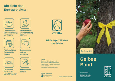 Faltblatt Gelbes Band - © ZEHN Faltblatt Gelbes Band