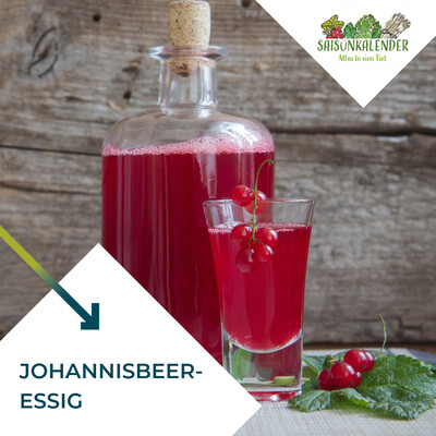 Johannisbeer-Essig