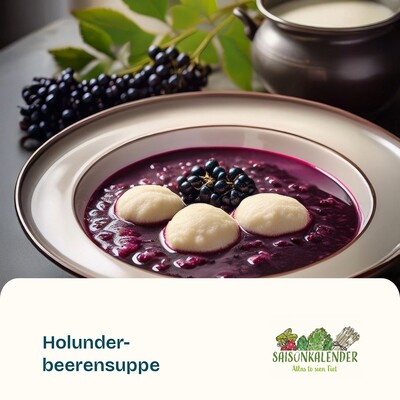 Holunderbeersuppe - © ZEHN Holunderbeersuppe