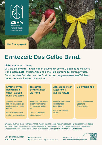 Aushang Gelbes Band - © ZEHN Aushang Gelbes Band