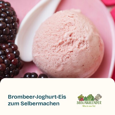 Brombeer-Joghurt-Eis - © ZEHN Brombeer-Joghurt-Eis