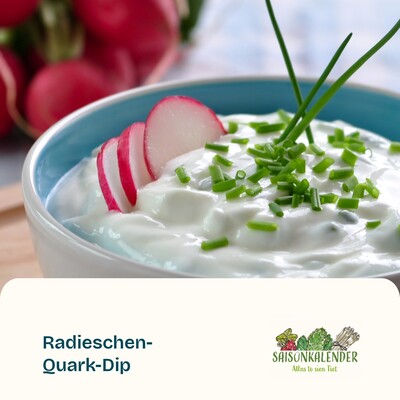 Radieschen-Quark-Dip - © ZEHN Radieschen-Quark-Dip