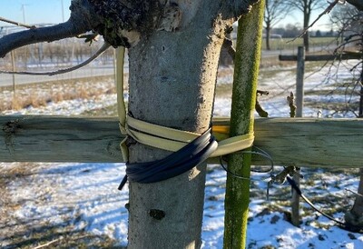 Gelbes Band vom Obstproduzenten