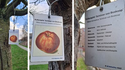 Schöner von Boskop Alu Dibond Beschilderung - © ZEHN Schöner von Boskop Alu Dibond Beschilderung