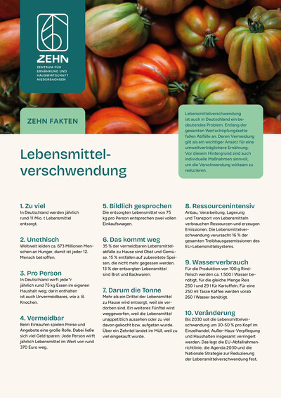 Faktenblatt Lebensmittelverschwendung - © ZEHN Faktenblatt Lebensmittelverschwendung