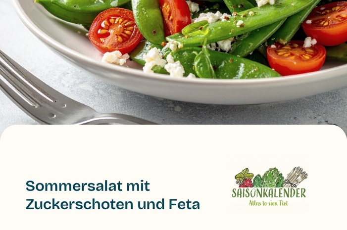 Rezept des Monats Juni - Sommersalat mit Zuckerschoten und Feta