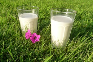 Fachkenntnisschulung zur Be- und Verarbeitung von Milch