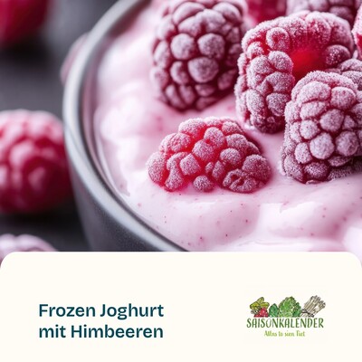 Frozen Joghurt mit Himbeeren - © ZEHN Frozen Joghurt mit Himbeeren
