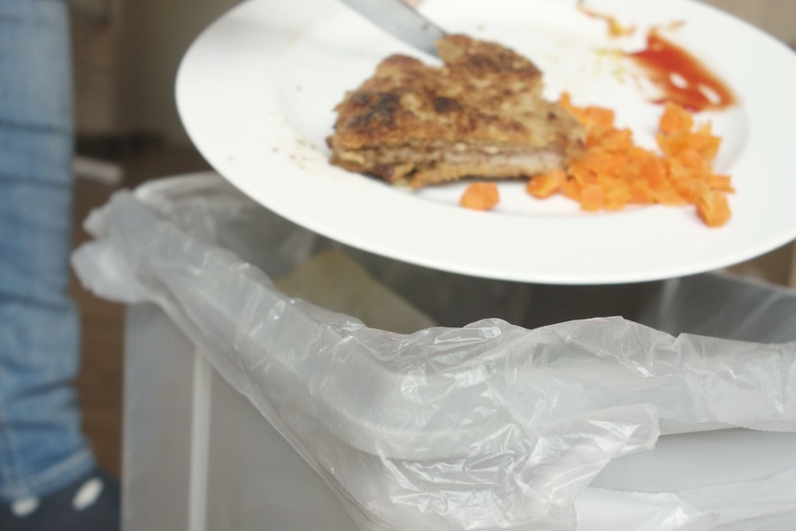 Lebensmittelreste verwerten statt wegwerfen – ZEHN liefert wichtige Tipps