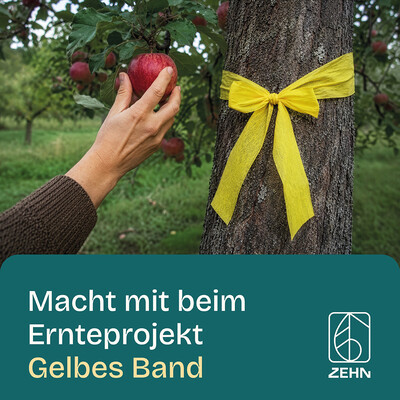Sharepic Gelbes Band Feed - © ZEHN Sharepic Gelbes Band Feed