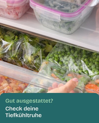 Titelbild ENV - Tiefk&uuml;hltruhe