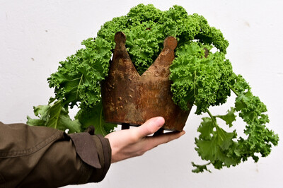 Gr&uuml;nkohl_Pressebild