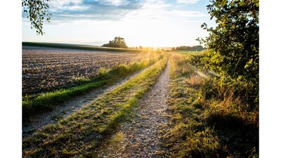 Weg_Romantik_Zukunft_Ausblick