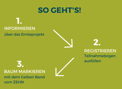 Grafik So gehts gelbes Band Obstbaumeigentümer