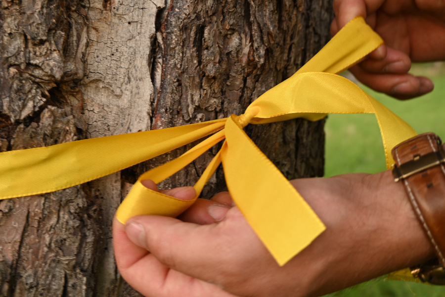 Gelbes Band – das Ernteprojekt