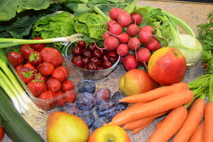 Verbraucherbildung Kinder & Jugendliche: Projektmodul Kochen mit Kindern Basisschulung