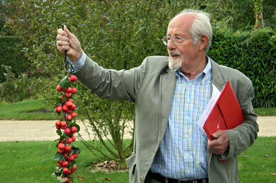 Dr. Dankwart Seipp