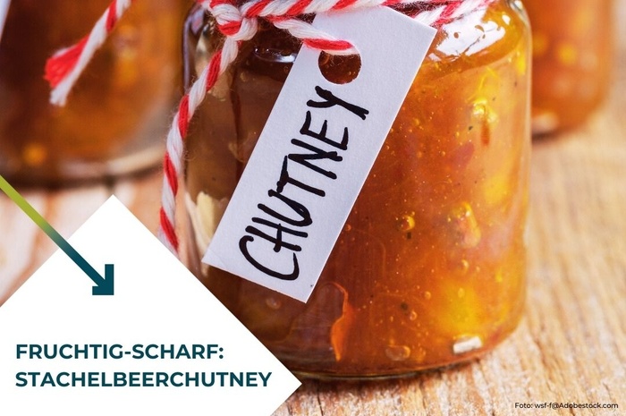 Rezept des Monats Juli - Stachelbeer-Chutney