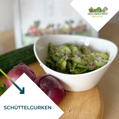 Schüttelgurken