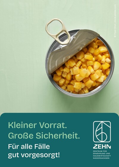 Titelbild ENV - Printmedium
