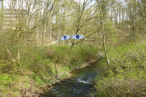 Schnittkurs Sträucher in Hildesheim  