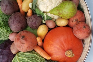 Familiengerechte Ernährung – gesund und klimabewusst I Allergien im Aufwind - neue Herausforderungen durch das Klima?