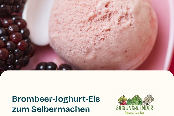 Rezept des Monats Juli - Brombeer-Joghurt-Eis
