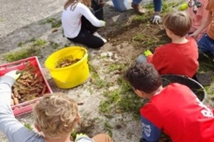 Gärtnern mit Kindern