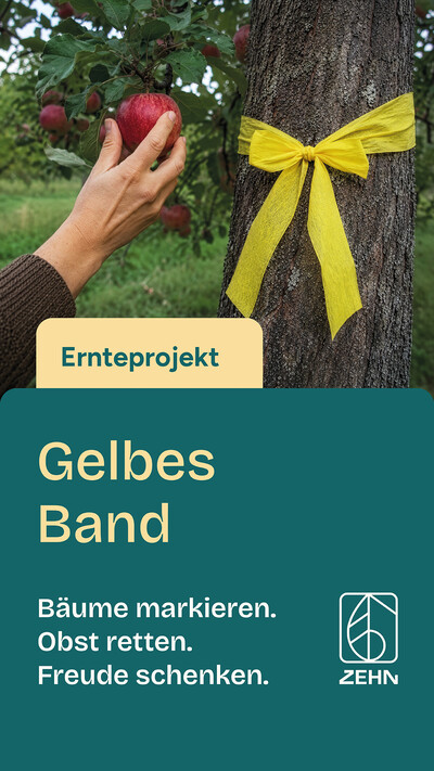 Sharepic Gelbes Band Story 1 - © ZEHN Sharepic Gelbes Band Story 1